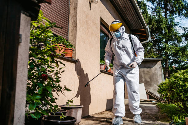 Best Pest Prevention Services  in Swift Trail Junction, AZ