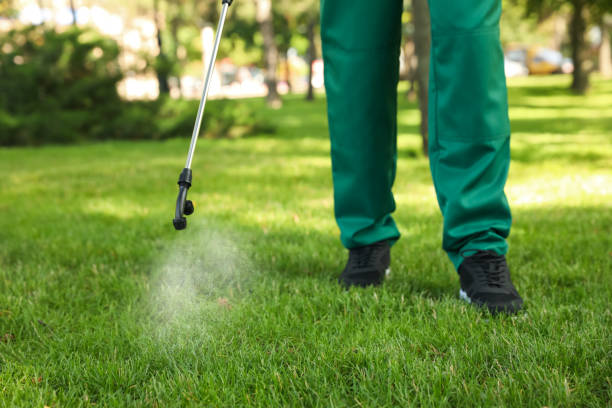 Best Pest Control Near Me  in Swift Trail Junction, AZ