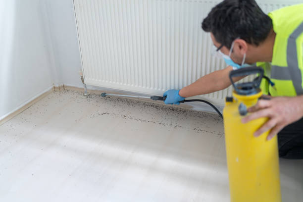 Best Cockroach Control Services  in Swift Trail Junction, AZ